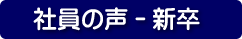 新卒社員の声