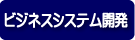 ビジネスシステム開発